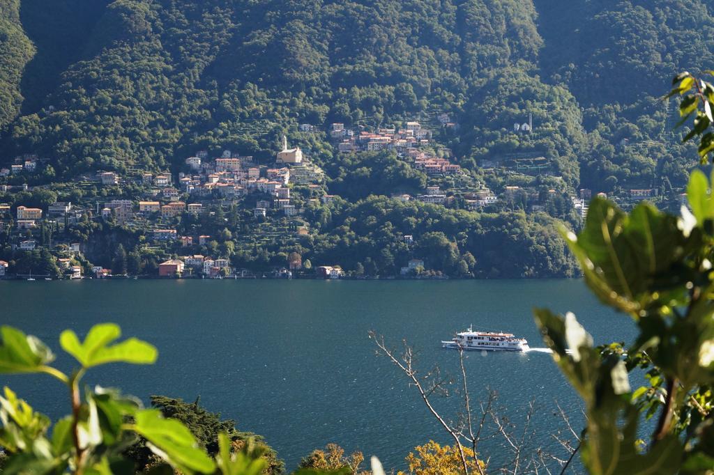 Residenza Andrea Olga Apartment Laglio Ruang foto